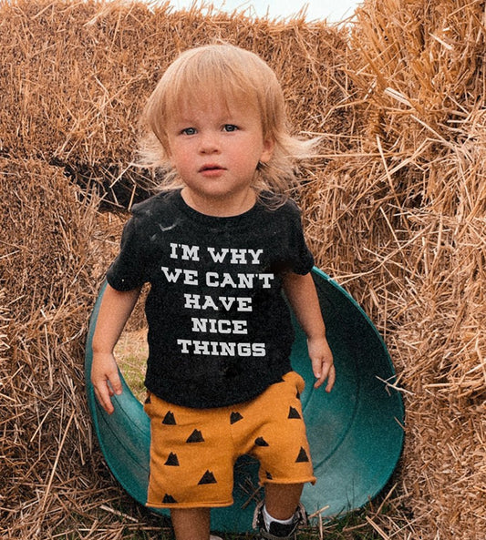 I'm Why We Can't Have Nice Things | Kid's T-Shirt